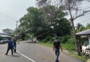 Jaga Keselamatan Masyarakat, Damkar Seruyan Tebang Pohon Lapuk Kawasan Bundaran I
