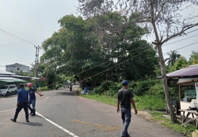 Jaga Keselamatan Masyarakat, Damkar Seruyan Tebang Pohon Lapuk Kawasan Bundaran I