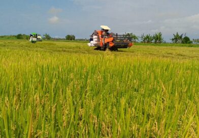 Sri Susanti : 2 Kecamatan di Kabupaten Seruyan Potensi Besar Sukseskan Program Cetak Sawah
