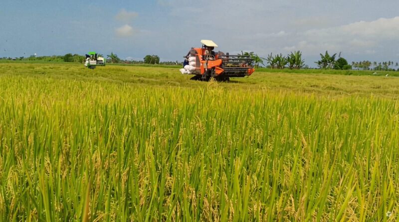Sri Susanti : 2 Kecamatan di Kabupaten Seruyan Potensi Besar Sukseskan Program Cetak Sawah