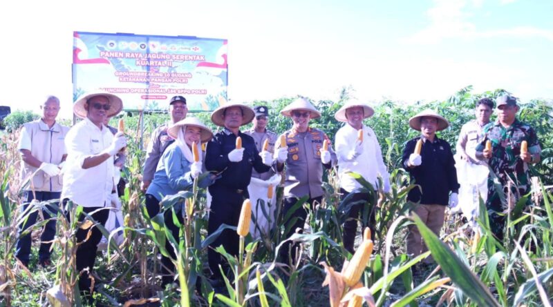 Panen Jagung serentak Kuartal II, Bupati Seruyan Dukung Program Ketahanan Pangan