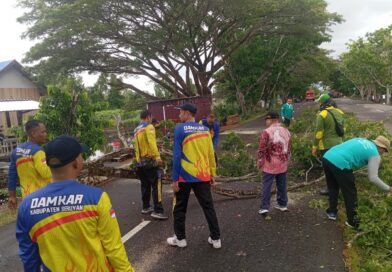 Bahayakan Pengguna Jalan, 4 Instansi Dikerahkan Pangkas Pohon Tumbang di Kuala Pembuang