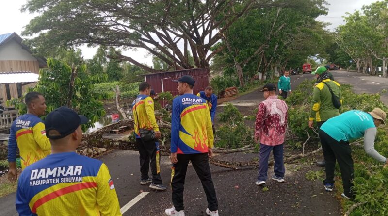 Bahayakan Pengguna Jalan, 4 Instansi Dikerahkan Pangkas Pohon Tumbang di Kuala Pembuang