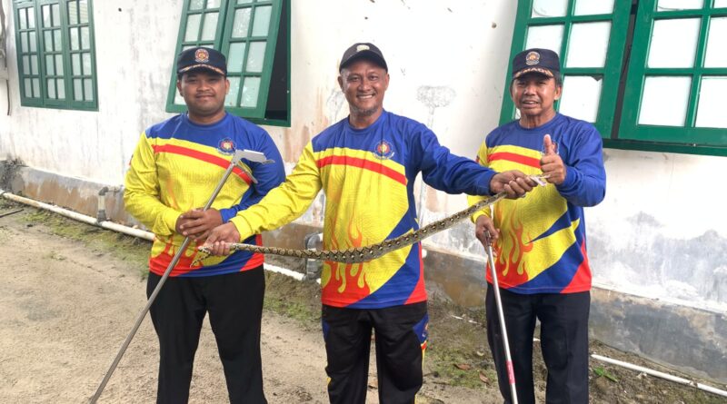 Damkar Sektor Seruyan Raya Evakuasi Anak Ular Bersarang di Plafon Rumah Warga