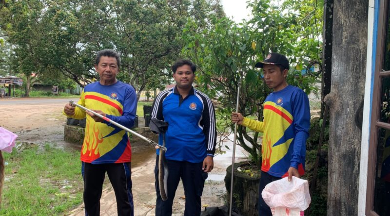 Damkar Sektor Seruyan Raya Berhasil Evakuasi Ular Masuk ke Tempat Tidur di Desa Terawan