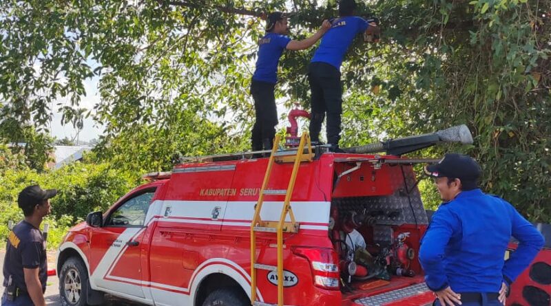Butuh Waktu 2 Jam, Damkar Seruyan Berhasil Pangkas Pohon di Jalan Ais Nasution