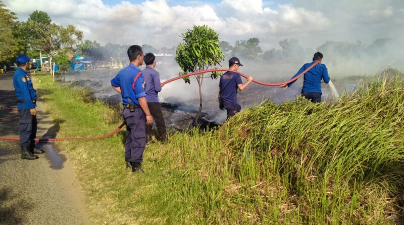 Damkar Seruyan Padamkan Kebakaran Lahan di Kuala Pembuang II Damkar Seruyan Padamkan Kebakaran Lahan di Kuala Pembuang II