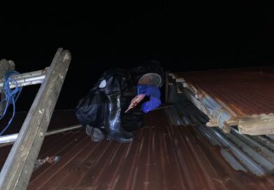 Setelah 32 Menit, Damkar Seruyan Berhasil Evakuasi Sarang Tawon di Atap Rumah Warga Setelah 32 Menit, Damkar Seruyan Berhasil Evakuasi Sarang Tawon di Atap Rumah Warga