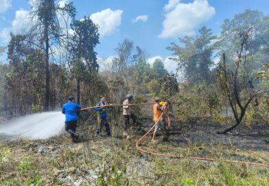 Sinergi Damkar dan BPBD Seruyan Berhasil Atasi Kebakaran Lahan di Kuala Pembuang II Sinergi Damkar dan BPBD Seruyan Berhasil Atasi Kebakaran Lahan di Kuala Pembuang II