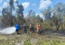 Sinergi Bersama, Damkar Sektor Hanau – BPBD Seruyan Berhasil Padamkan Kebakaran Lahan di Desa Pembuang Hulu I Sinergi Bersama, Damkar Sektor Hanau – BPBD Seruyan Berhasil Padamkan Kebakaran Lahan di Desa Pembuang Hulu I