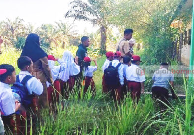 Pintu Masuk SDN 3 Bangkal Digembok, Siswa Terpaksa Diliburkan