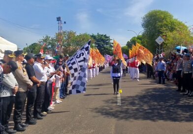 Pemkab Seruyan Gelar Pawai Karnaval Peringati HUT Ke-24 Kabupaten Seruyan dan HUT RI Ke-81 Pemkab Seruyan Gelar Pawai Karnaval Peringati HUT Ke-24 Kabupaten Seruyan dan HUT RI Ke-81