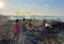 Polsek Seruyan Hilir dan PT GBSM Berhasil Padamkan Kebakaran Lahan di Desa Baung