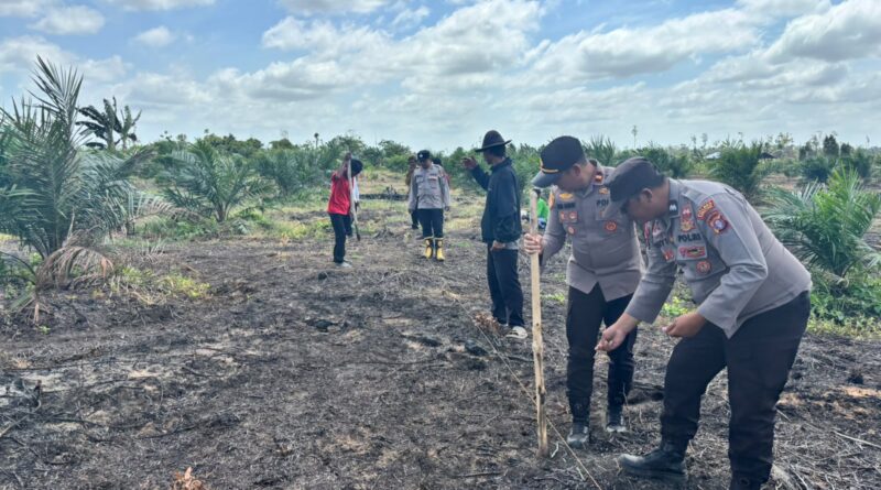 Tanam 5 Hektare Bibit Jagung, Kapolsek: Komitmen Kami Dukung Swasembada Pangan Tanam 5 Hektare Bibit Jagung, Kapolsek: Komitmen Kami Dukung Swasembada Pangan