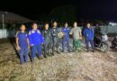 Damkar Sektor Hanau Evakuasi Sarang Tawon Vespa di Belakang Sekolah TK Damkar Sektor Hanau Evakuasi Sarang Tawon Vespa di Belakang Sekolah TK