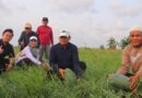 Maksimalkan Potensi Lahan di Musim Kemarau, Pemkab Seruyan Dorong Petani Kembangkan Budidaya Holtikultura