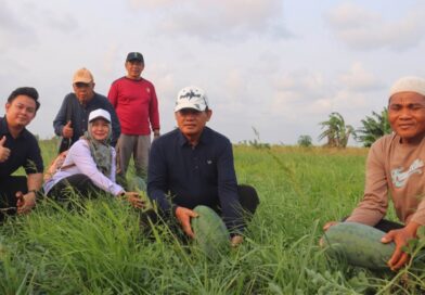 Maksimalkan Potensi Lahan di Musim Kemarau, Pemkab Seruyan Dorong Petani Kembangkan Budidaya Holtikultura Maksimalkan Potensi Lahan di Musim Kemarau, Pemkab Seruyan Dorong Petani Kembangkan Budidaya Holtikultura