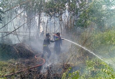 Kebakaran Lahan Meluas Hingga Pemukiman Warga di Kuala Pembuang II, Tim Gabungan Gerak Cepat Padamkan Api Kebakaran Lahan Meluas Hingga Pemukiman Warga di Kuala Pembuang II, Tim Gabungan Gerak Cepat Padamkan Api