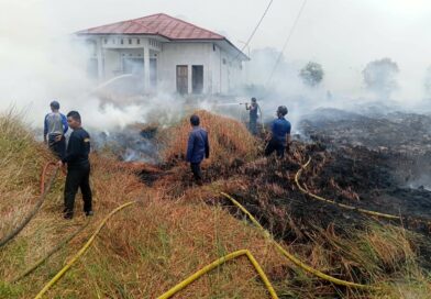 Setelah Berjibaku Selama 7 Jam, Tim Gabungan Berhasil Padamkan Kebakaran Lahan di 4 Titik Setelah Berjibaku Selama 7 Jam, Tim Gabungan Berhasil Padamkan Kebakaran Lahan di 4 Titik
